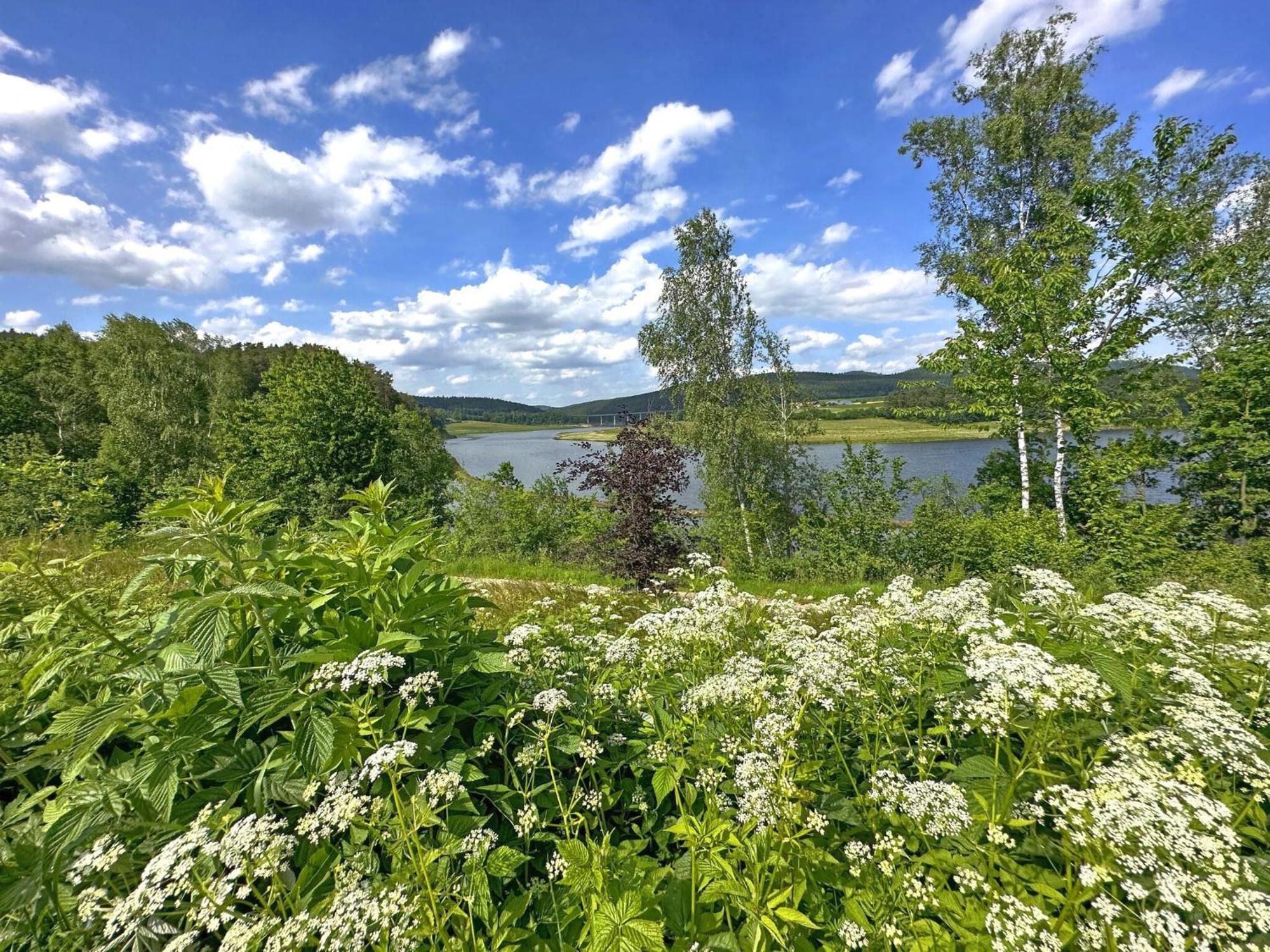 Feriendorf Seeblick - Tinyhouse Direkt Am See نينبورغ فورم والد المظهر الخارجي الصورة